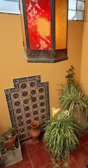 ¨Las Mayolicas¨ Hermoso Depto Con Patio Espanol Mendoza Eksteriør bilde