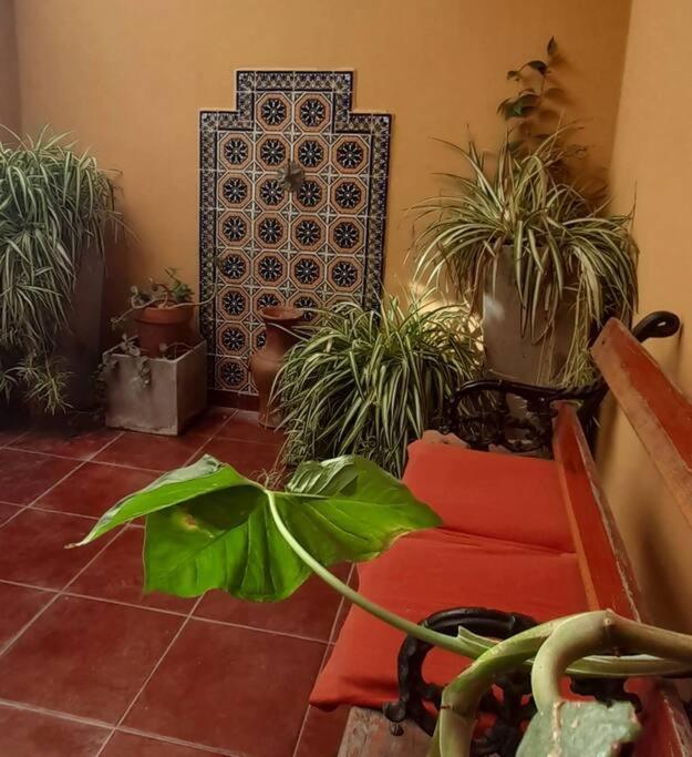 ¨Las Mayolicas¨ Hermoso Depto Con Patio Espanol Mendoza Eksteriør bilde